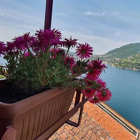 Dnart Holiday Apartment